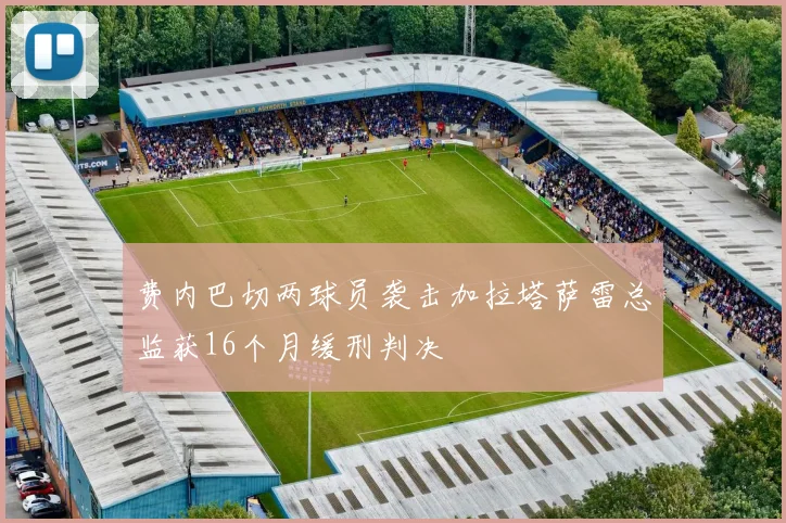 费内巴切两球员袭击加拉塔萨雷总监获16个月缓刑判决