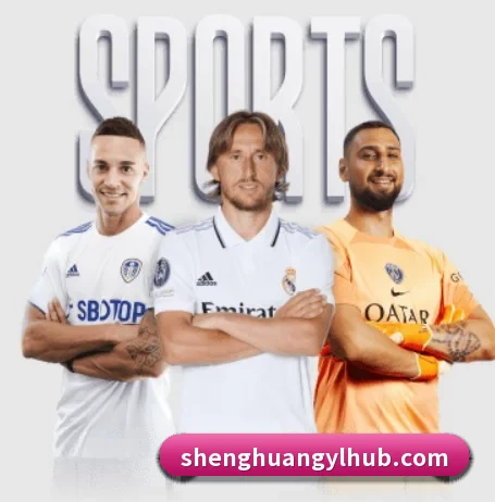 盛煌娱乐的故事